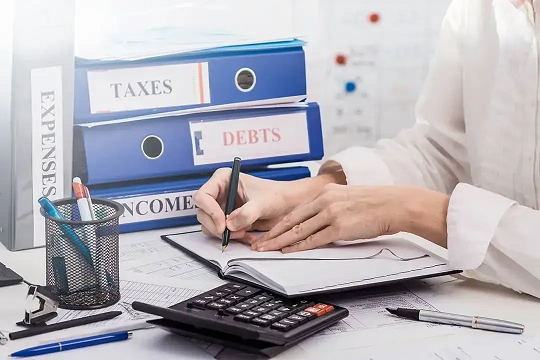 LedgerBox Services — professional bookkeeper